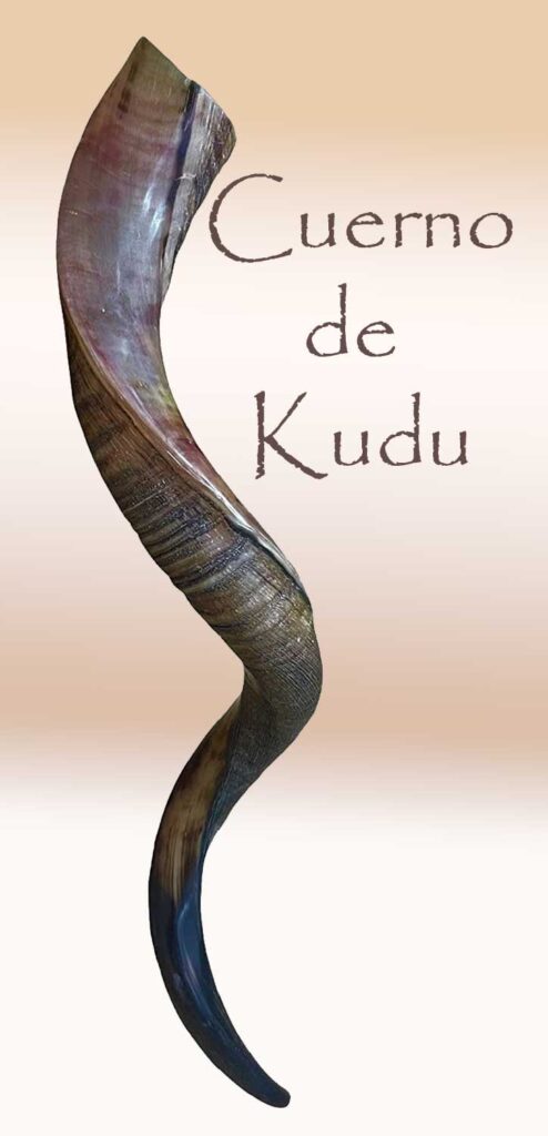 Cuerno de Kudu Shofar Tradición Kosher Israel-Los sonidos del Shofar-cuerno-instrumento del Año Nuevo Judío, -Rosh Hashanah -Shana Tova U'metuka