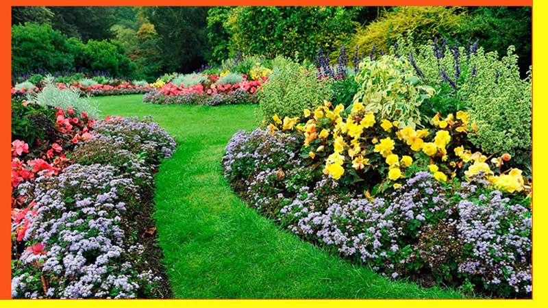 jardin estilo frances con abundantes flores rojas y flores amarillas- cesped y canteros con plantas