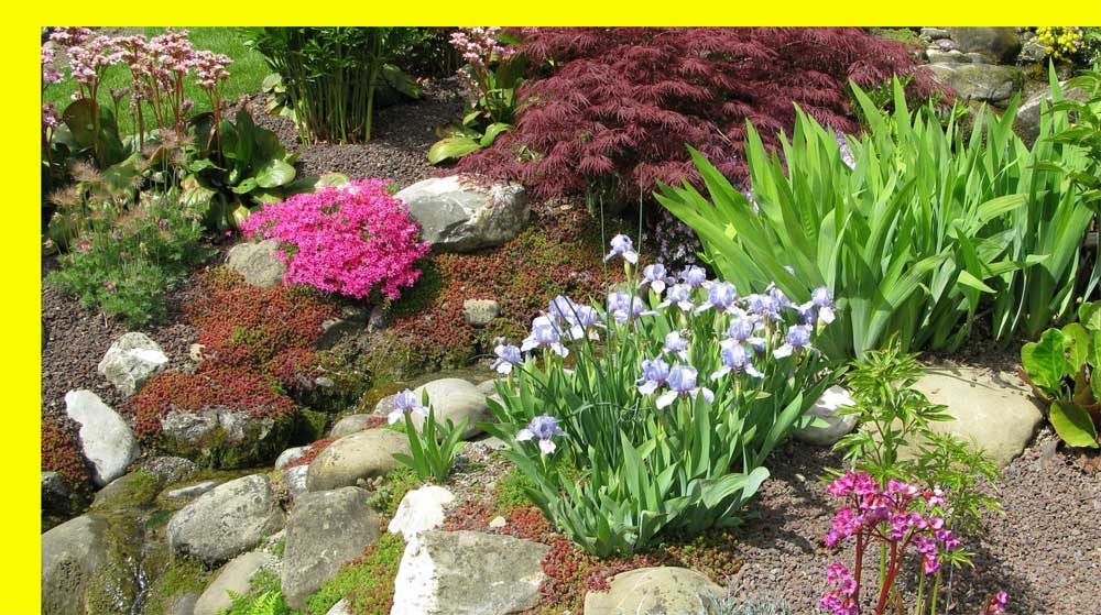 como arreglar un jardín con piedras, adornos de piedras en el jardín