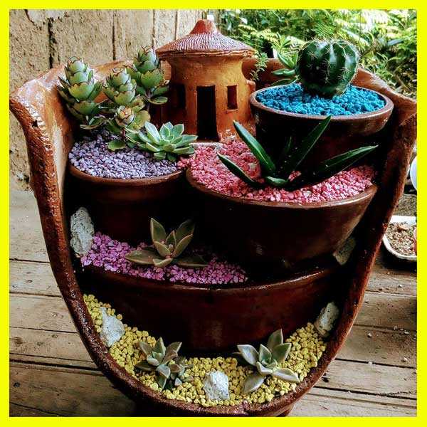cascada de plantas suculentas y cactus