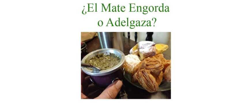 el mate engorda