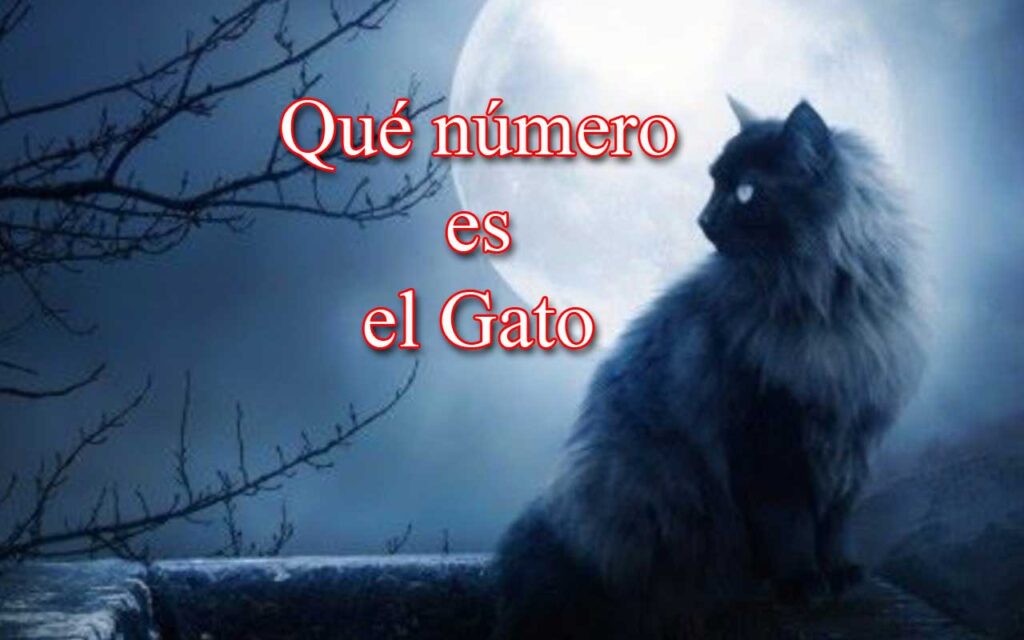 El 05 es el número del gato negro- Qué número es el gato en la quiniela