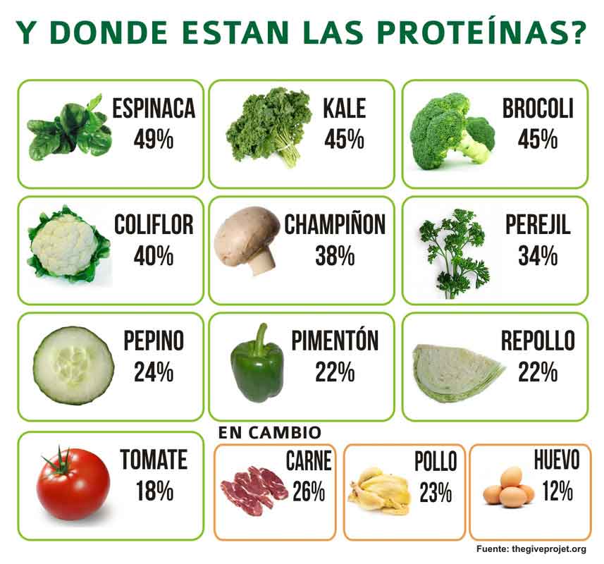 proteínas para corredores - donde están las proteínas - en vegetales - carnes - huevos
